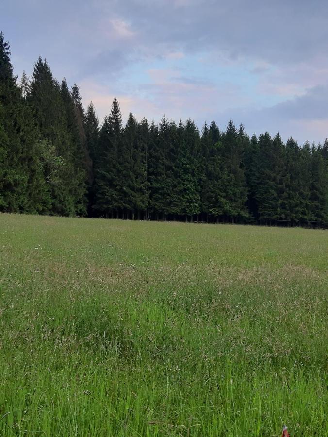 Ferienwohnung "Voelkl" Tännesberg エクステリア 写真